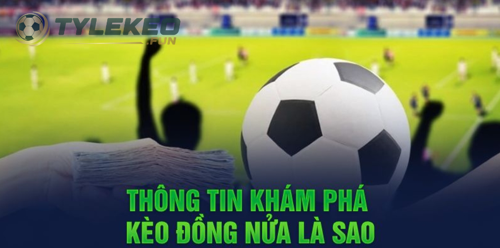 Khám phá sơ bộ thông tin của kèo đồng nửa
