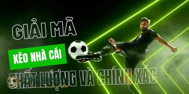 Quy trình nhà cái ra kèo chi tiết
